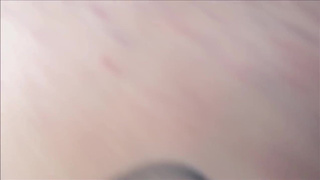 Модель Skylar Vox